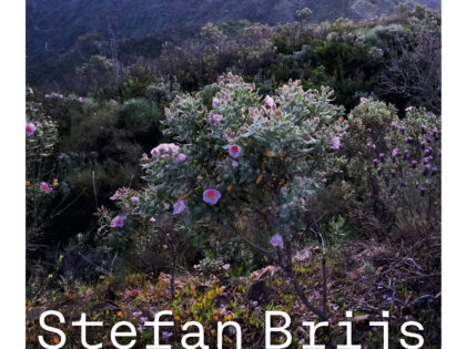 Mooie ontvangst voor ‘Het geduld van de bloemen’, het nieuwe boek van Stefan Brijs